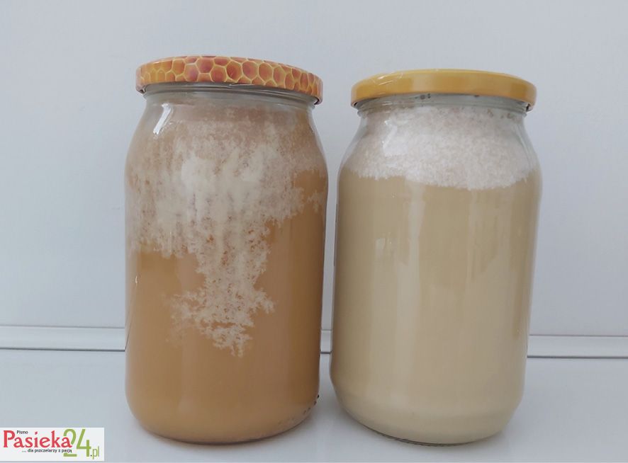 Fot. 2. Wykwity towarzyszące krystalizacji.