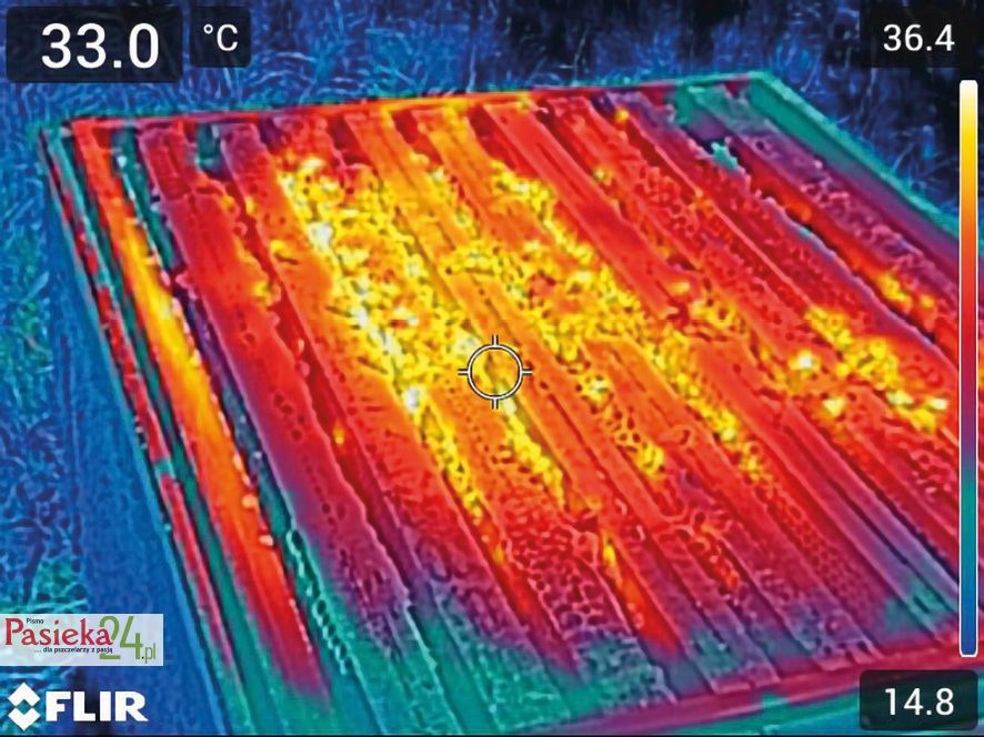 Fot. 3. Rozkład temperatur w opracowanym ulu.