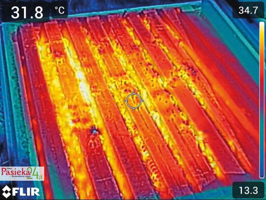 Fot. 4. Rozkład temperatury w ulu wykonanym ze styropianu.