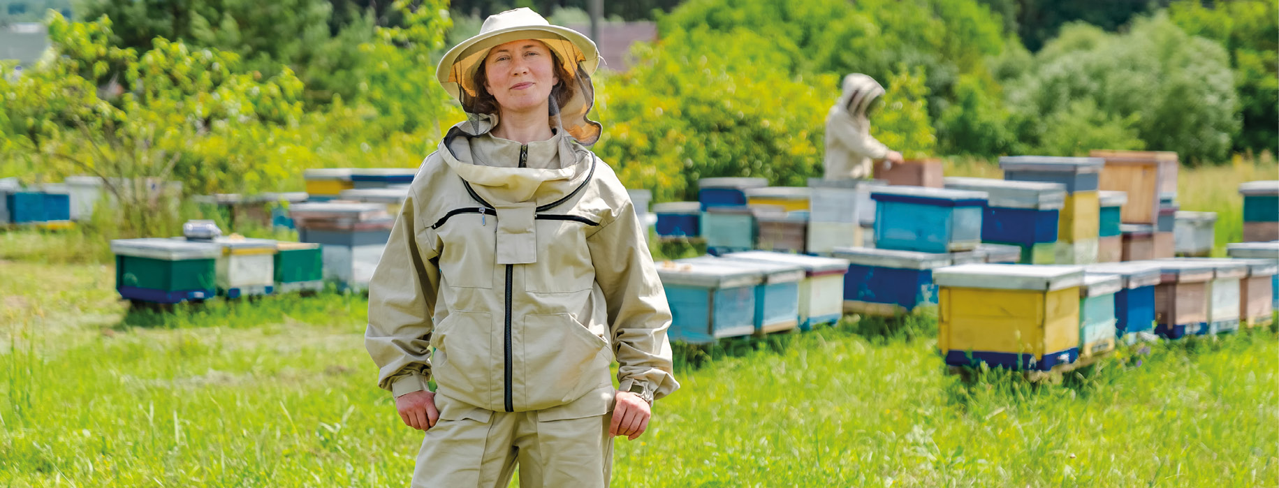 Gdzie diabeł nie może, tam...