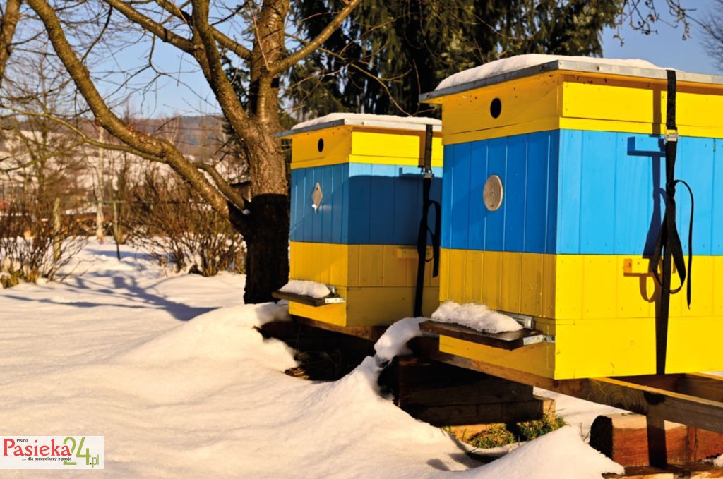 Nowe doświadczenia – podsumowanie sezonu 2025