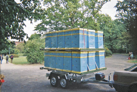 Organizacja pracy w pasiece wędrownej