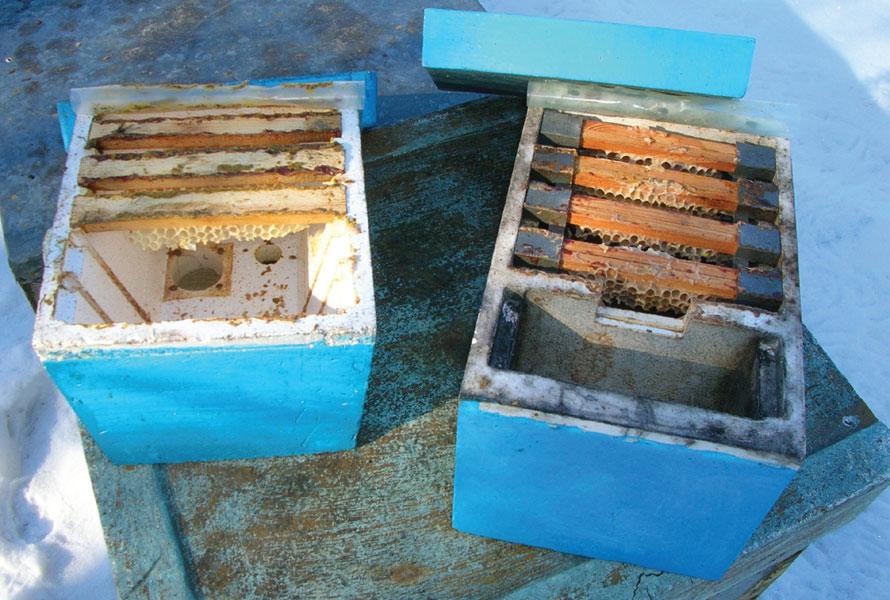 Uliki weselne i uliki na odkłady Uliki weselne i uliki na odkłady