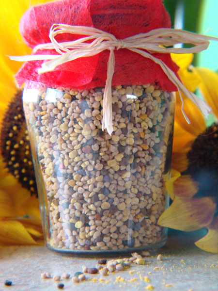 fot.© Teresa Kobiałka