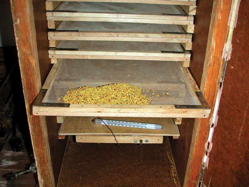 fot.© Sławomir Trzybiński