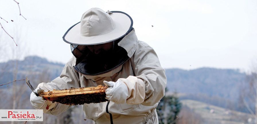 pszczelarz z ramka
