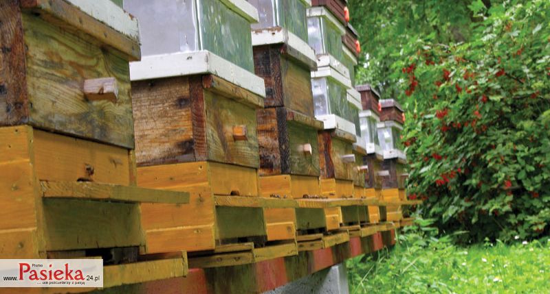 ule drewniane na trawie