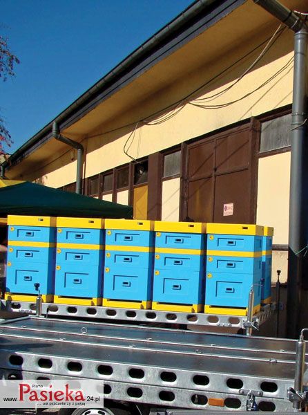 przyczepa i ule
