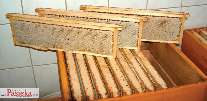 Ramki przygotowane do odsklepiania i wirowania