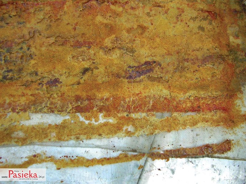 Siatka plastykowa powleczona propolisem