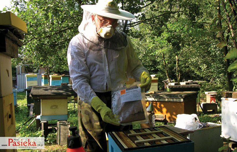 pszczelarz przy ulach