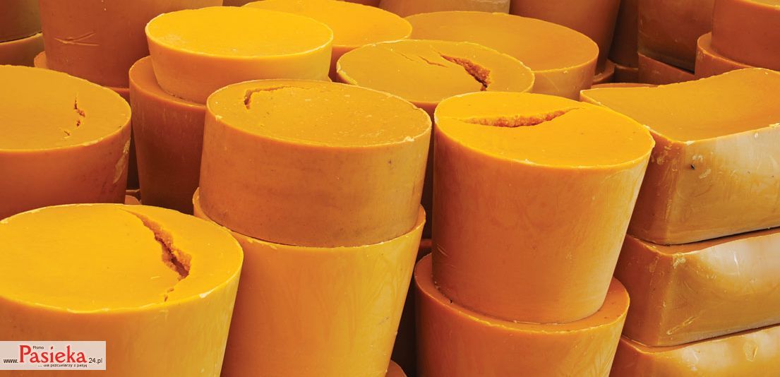 Synowiec Robert: Bzykajace hobby (K096)