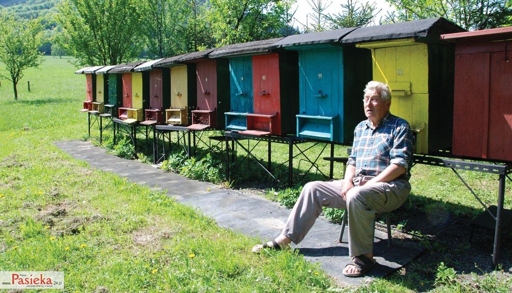 Wielki poradnik pasieczny