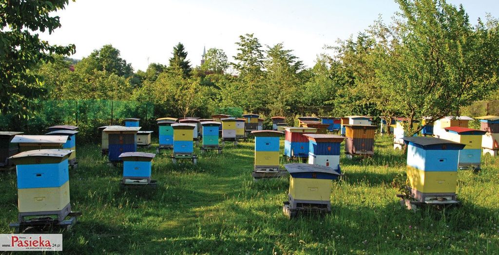 Wielki poradnik pasieczny