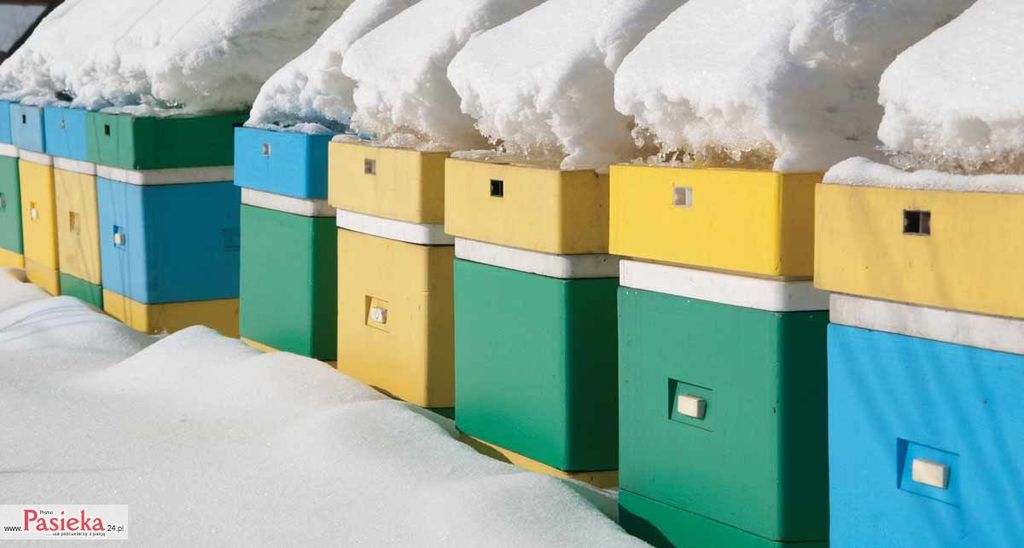 Wielki poradnik pasieczny