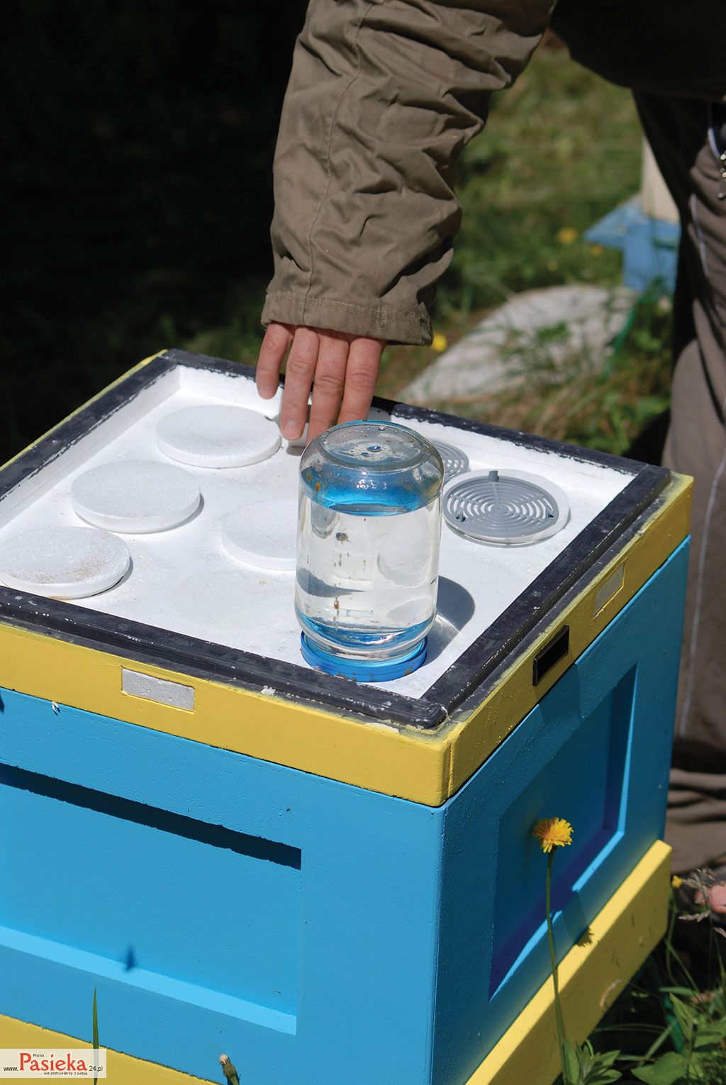 Wielki poradnik pasieczny