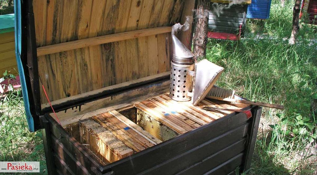 Wielki poradnik pasieczny