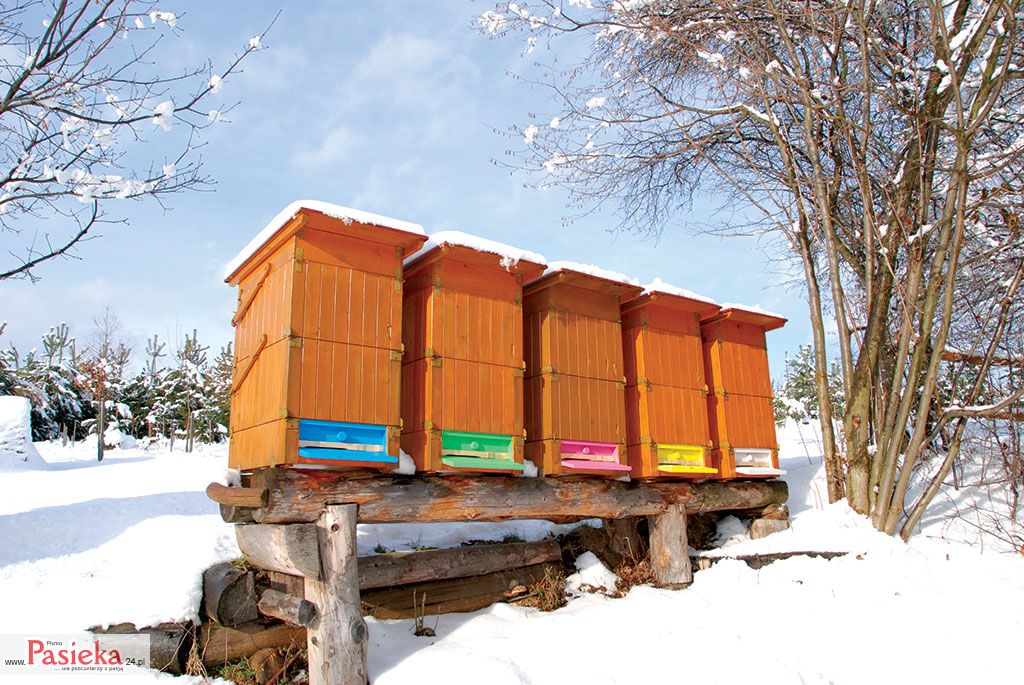 Wielki poradnik pasieczny