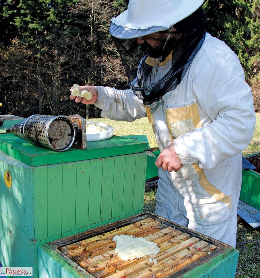 Wielki poradnik pasieczny
