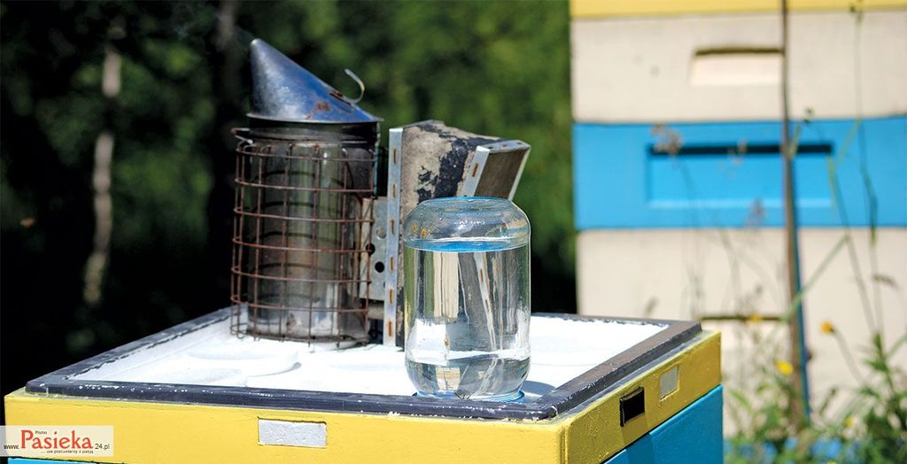 Wielki poradnik pasieczny