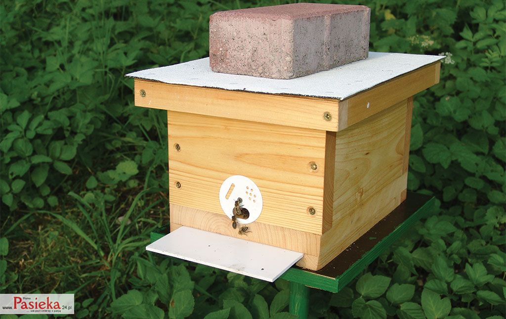 Wielki poradnik pasieczny