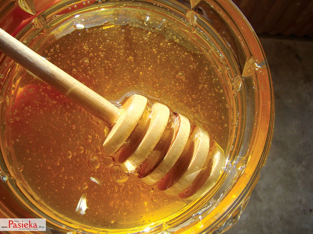 Wielki poradnik pasieczny