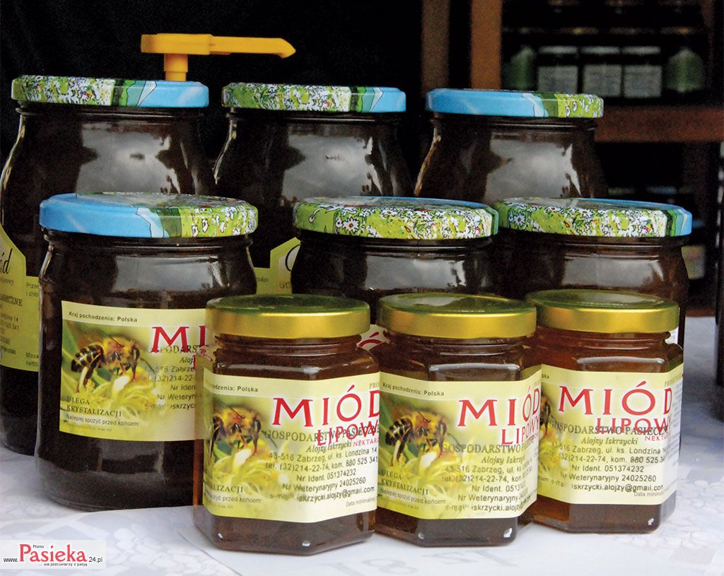 Wielki poradnik pasieczny