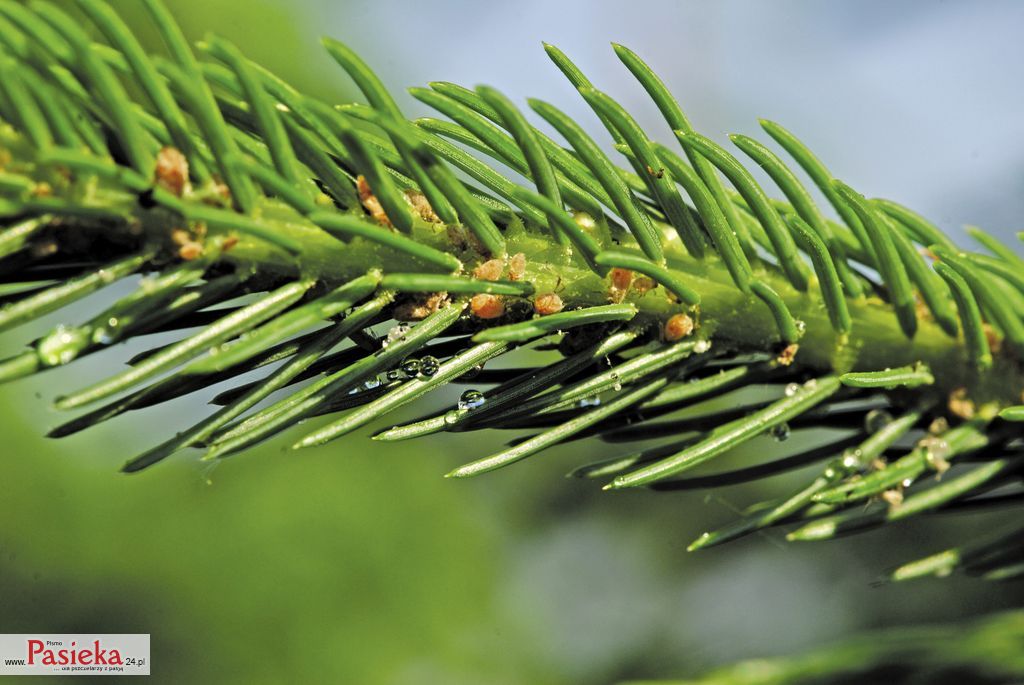 DSC_4714-milan_motyka