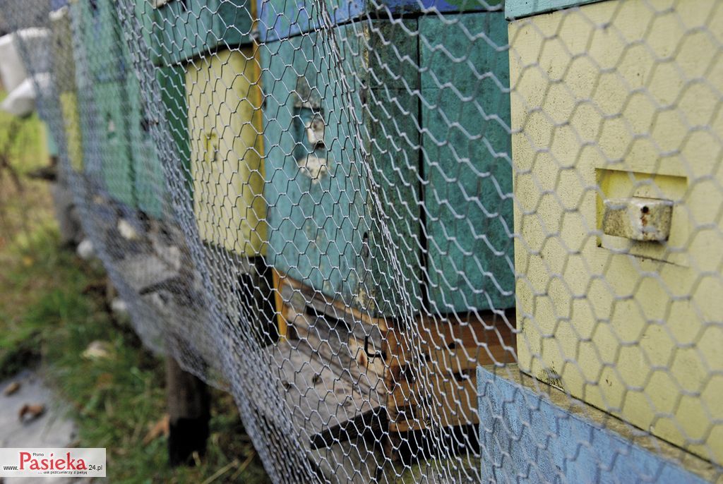 leczenie-aerozol-a-ochrona-(4)