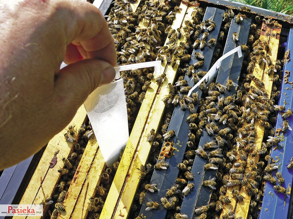 podkladanie_paskow_002