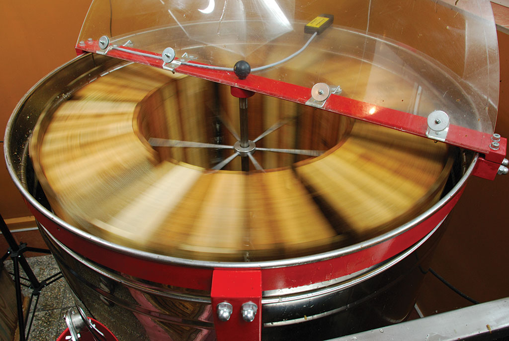 Wszystko o miodzie i jego pozyskiwaniu (r3_dsc_0372_rd)