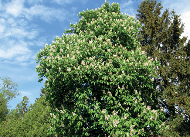 K2000 - Jak prowadzic ekoogród