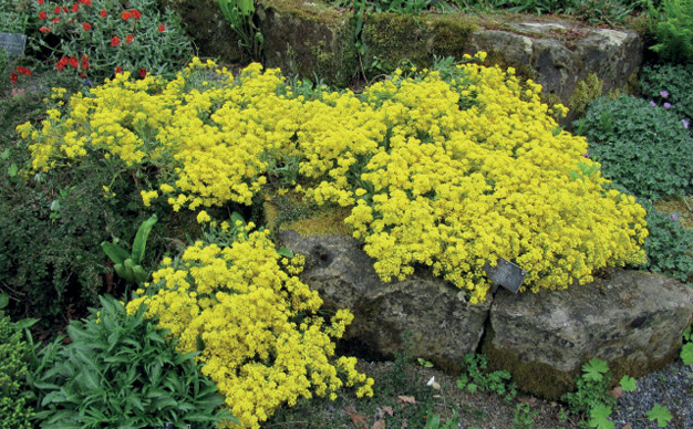 K2000 - Jak prowadzic ekoogród