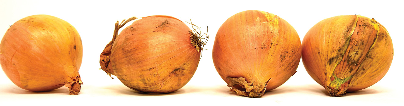 K2000 - Jak prowadzic ekoogród