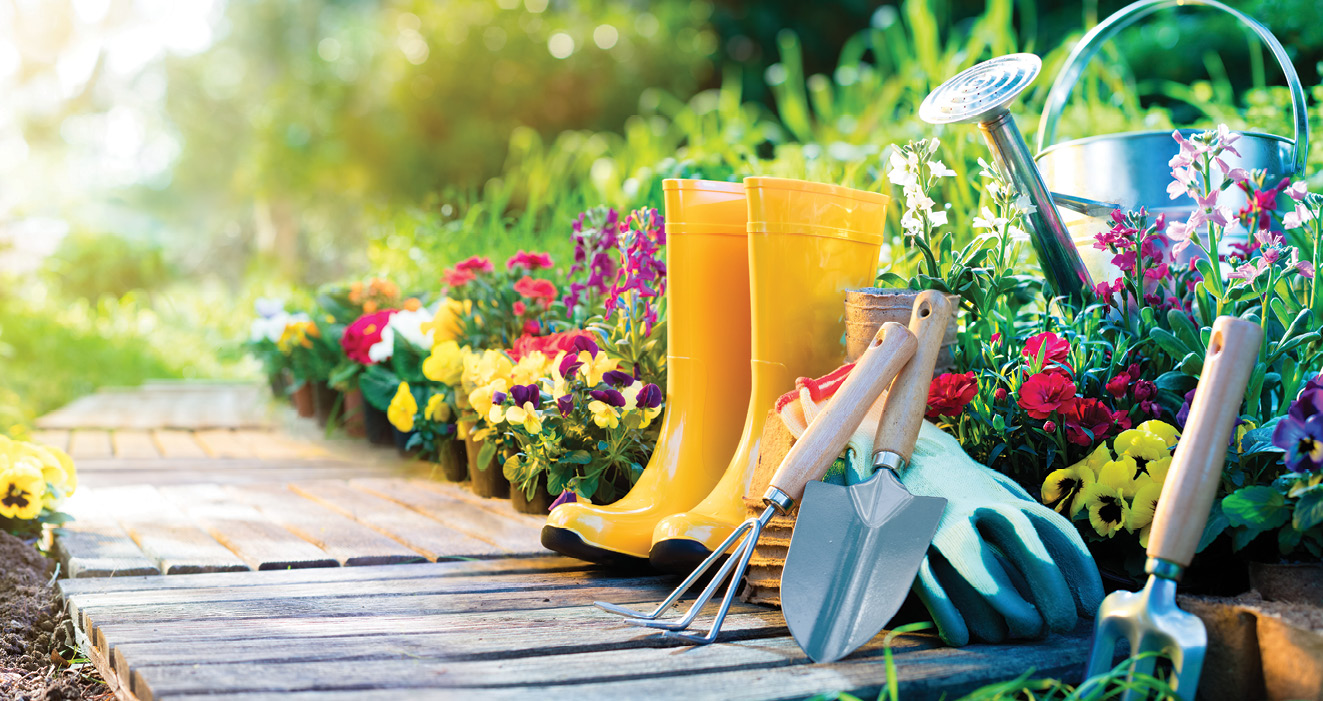 K2000 - Jak prowadzic ekoogród