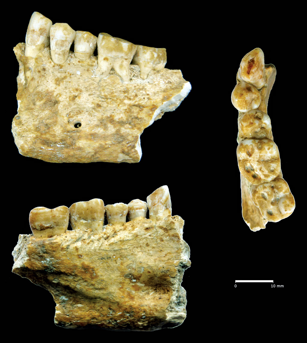 Krótki poradnik o produkcji świec z wosku pszczelego  (04)