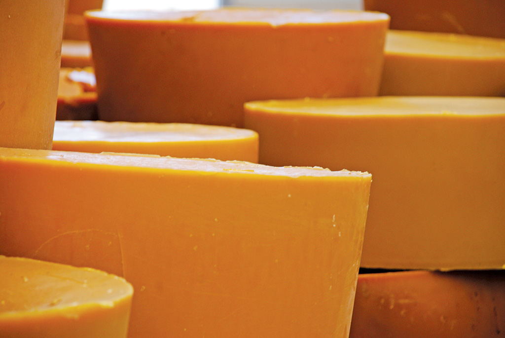 Krótki poradnik o produkcji świec z wosku pszczelego  (wosk_DSC_0051_RD)