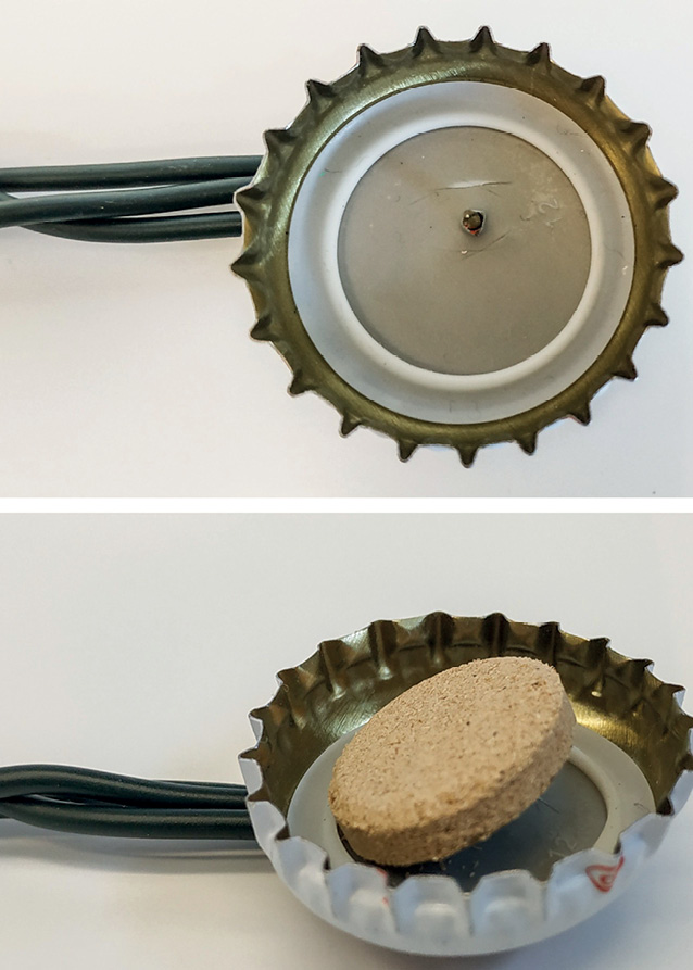 K231 Kompedium wiedzy o warrozie