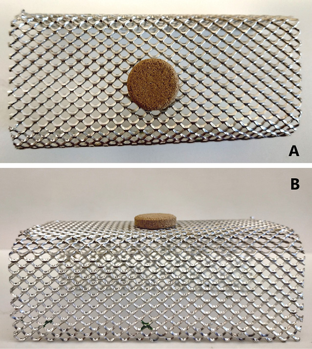 K231 Kompedium wiedzy o warrozie