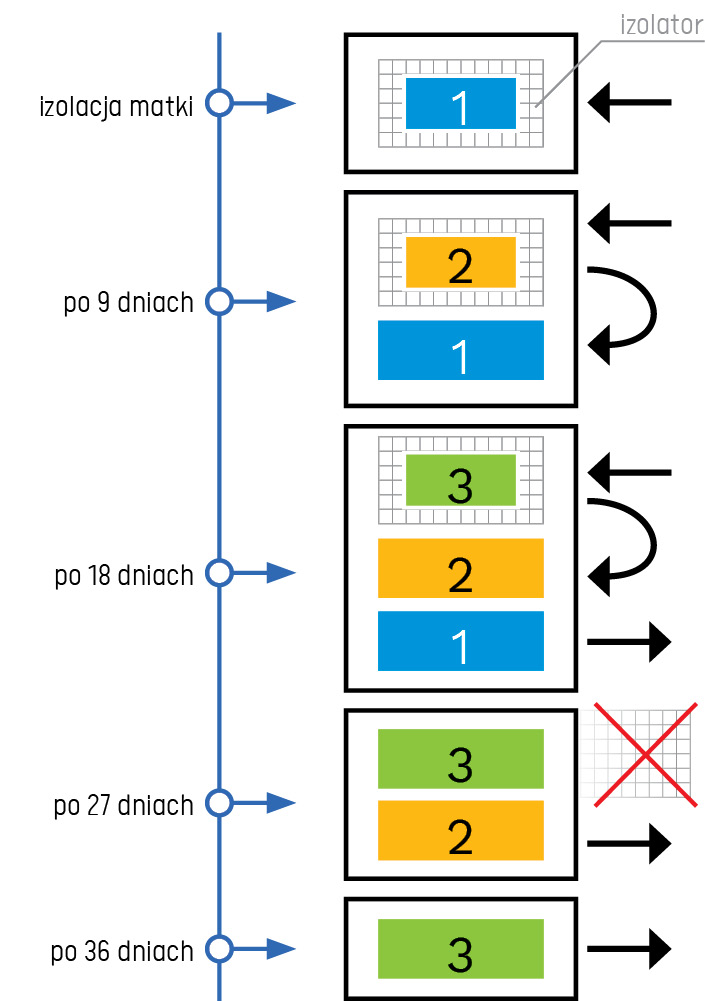 pasieka24.pl - Pszczelarskie fakty i mity