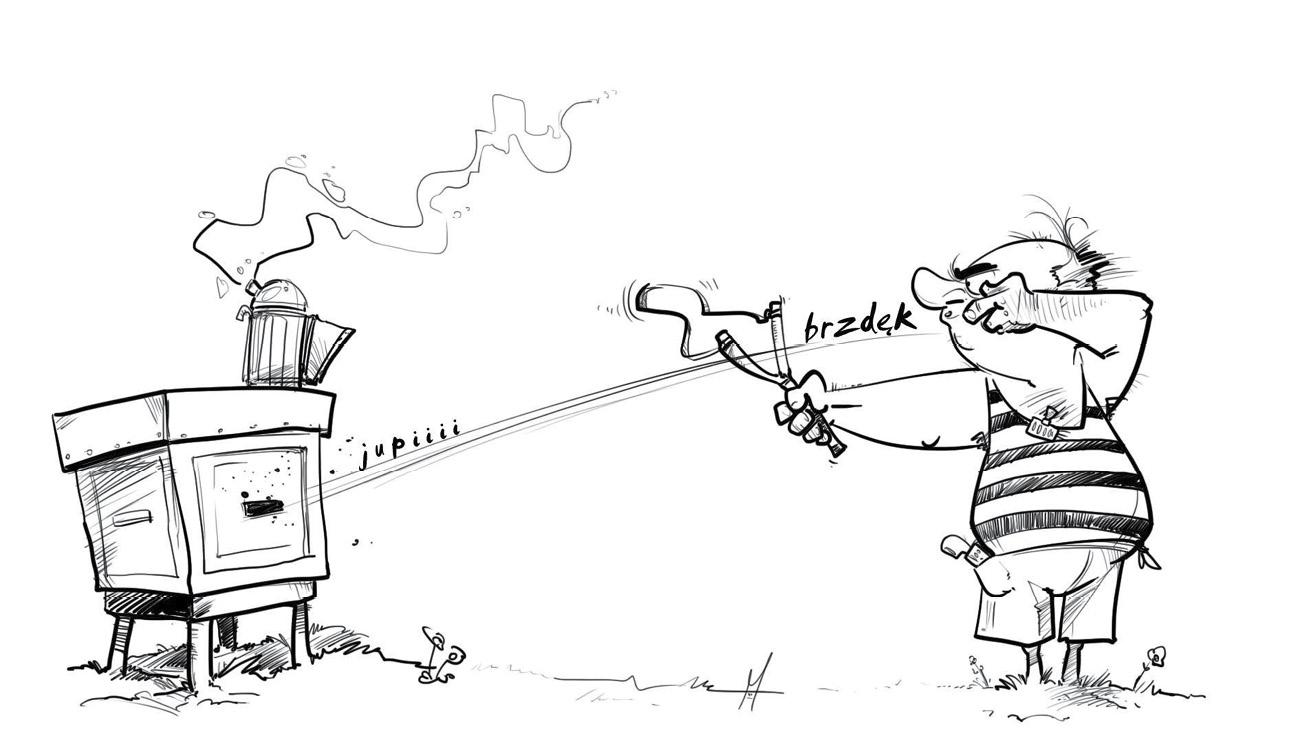 pasieka24.pl - Pszczelarskie fakty i mity