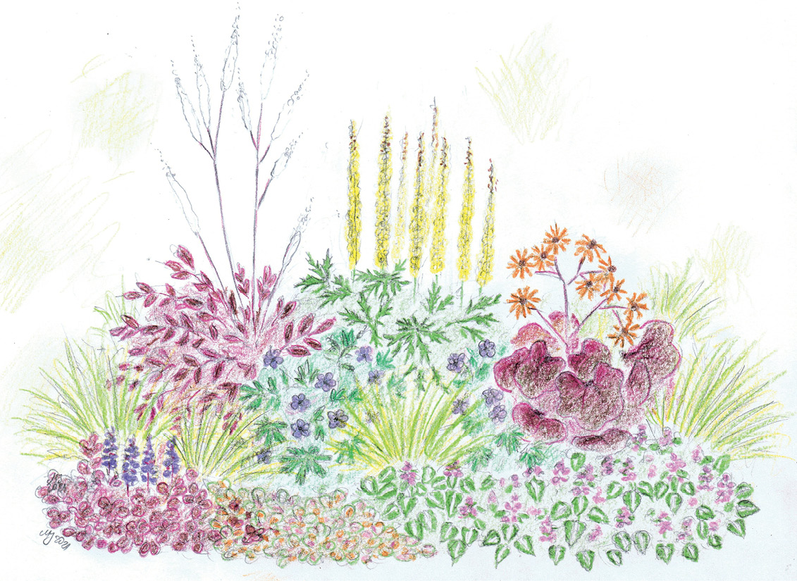 Wizualizacja rabaty na stanowisko cieniste.