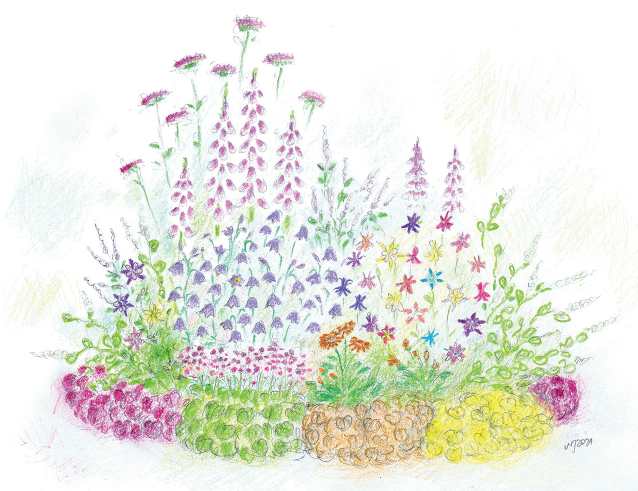 Wizualizacja rabaty na stanowisko półcieniste