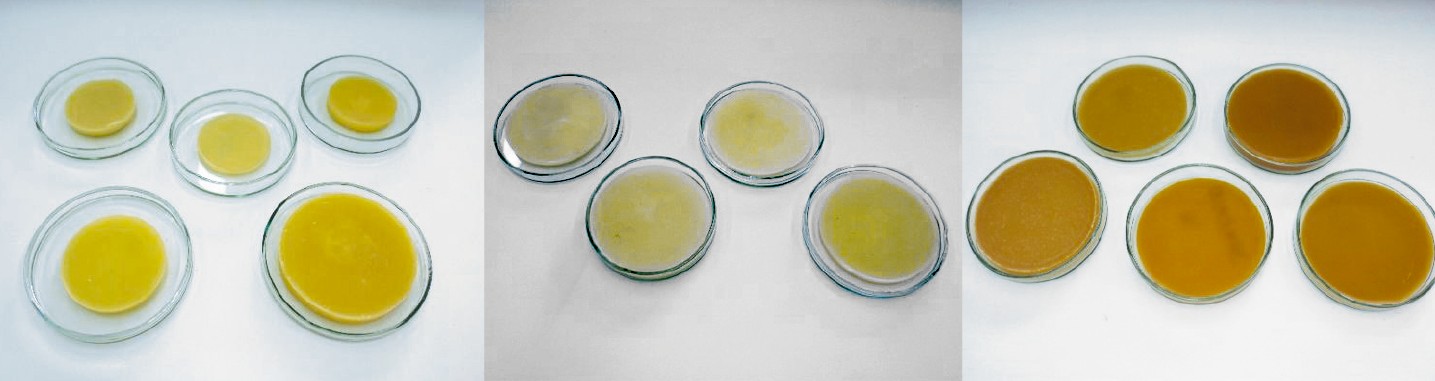 Kolory wosku pszczelego