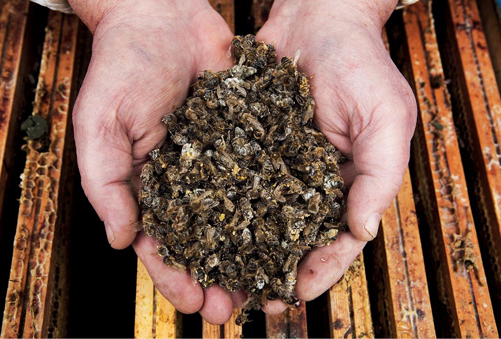 Eliminacja drobnoustrojów