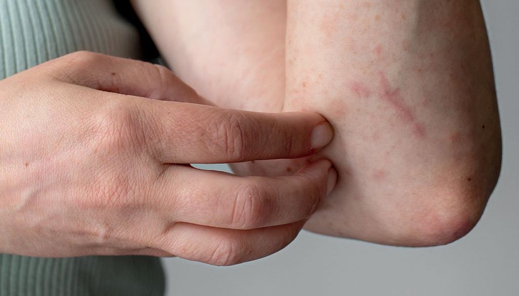 Właściwości biologiczne