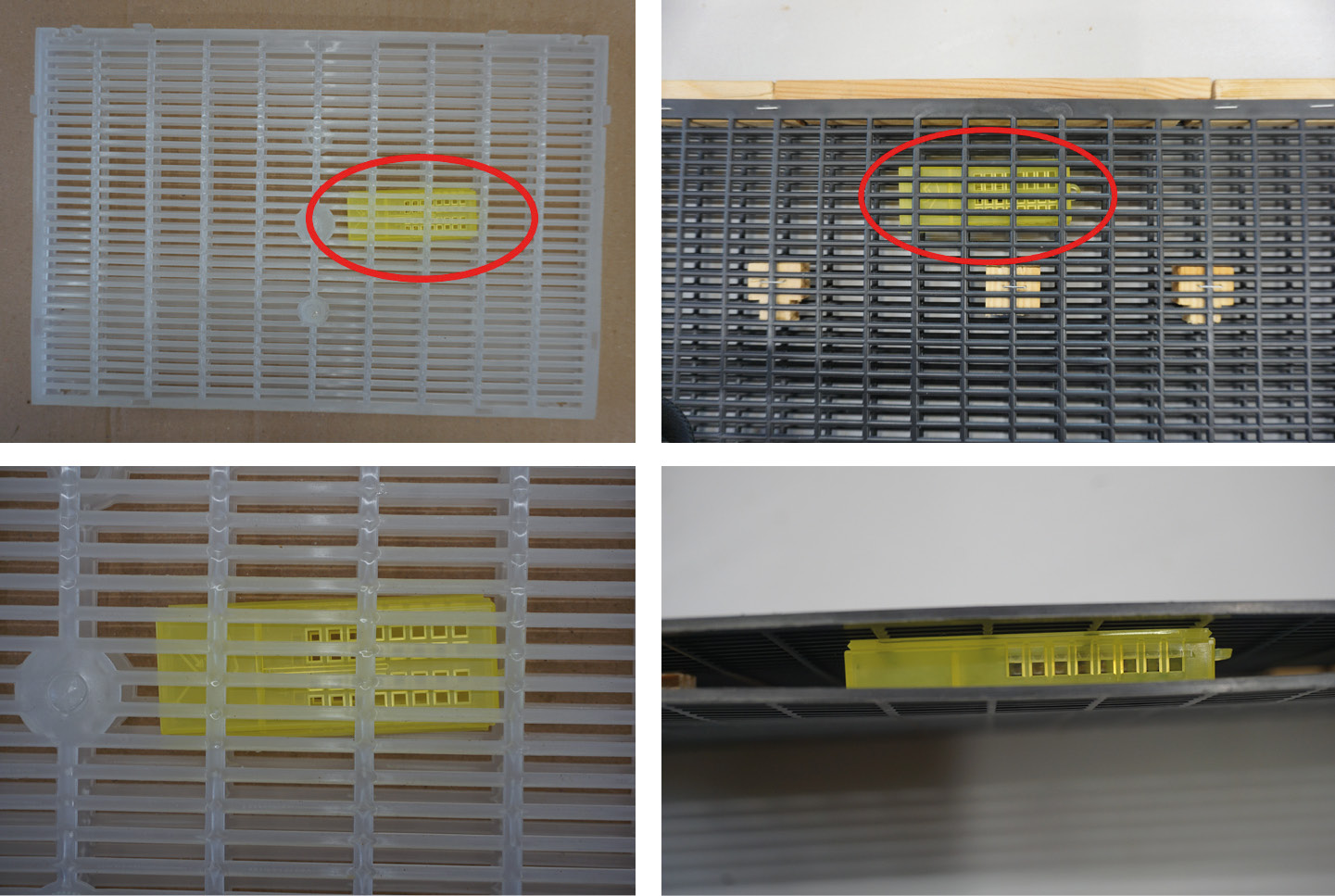 Część praktyczna - 8. Wymiana matek połączona z przerwaniem wychowu czerwiu