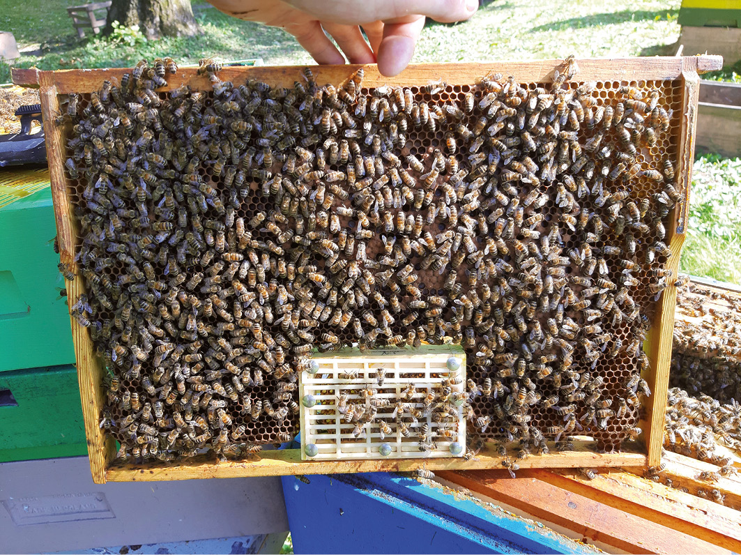 Część praktyczna - 6.2. Izolacja bez możliwości czerwienia - bezczerwiowa