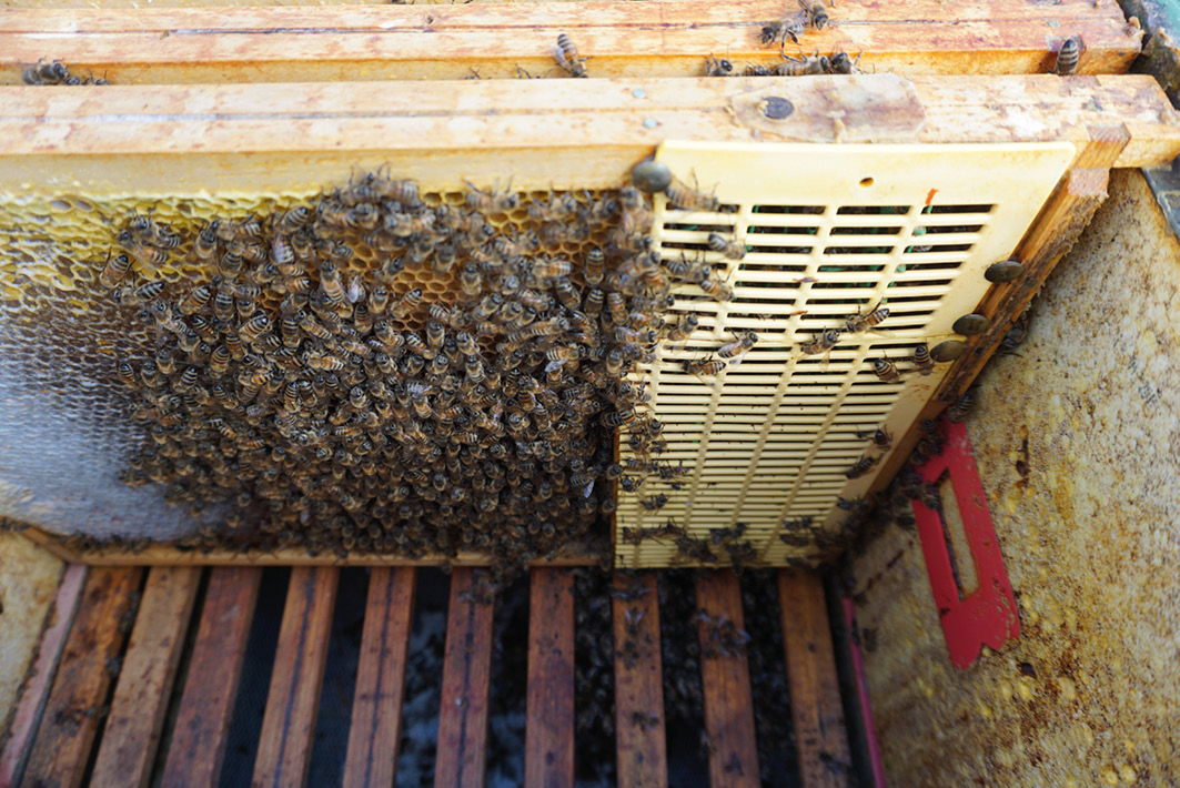 Część praktyczna - 6.4. Nietypowe sytuacje w czasie izolacji matek