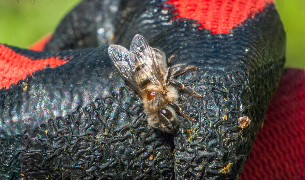 Część teoretyczna - 4.„Archaiczne” lecz skuteczne 